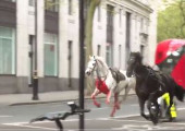 Άλογα_Λονδίνο