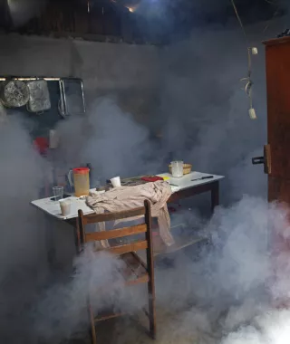 Έκρηξη των κρουσμάτων δάγκειου πυρετού στη Λατινική Αμερική	