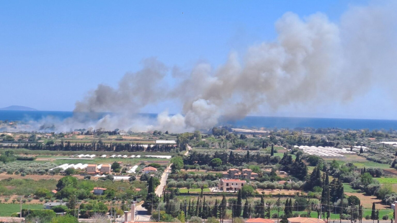 Φωτιά στο Μαραθώνα – Εστάλη 112 για προληπτική εκκένωση σε Παλιούρι και Ριζάρη