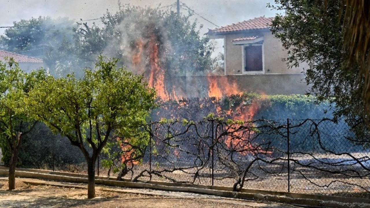 Ξεκίνησαν οι πληρωμές πρώτης αρωγής προς τους πυρόπληκτους του Ιουλίου – Η πρώτη καταβολή ξεπέρασε τις 850.000 ευρώ