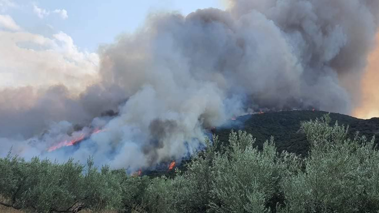 Φωτιά τώρα στο Στείρι Βοιωτίας, κοντά στη μονή του Οσίου Λουκά