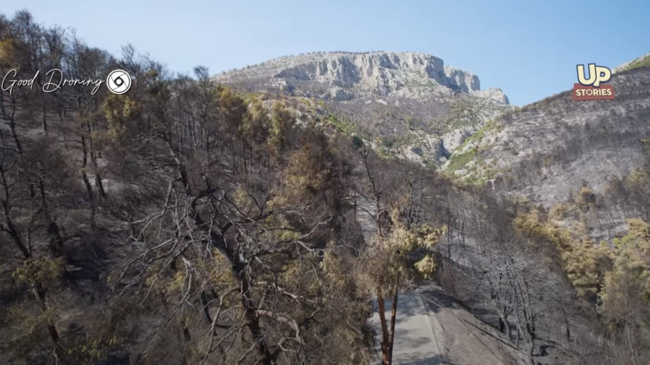 Δείτε βίντεο: Πριν και μετά την πύρινη λαίλαπα στη Φυλή- Η εικόνα της καταστροφής