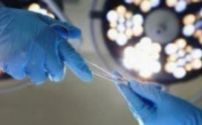 ΗΠΑ: Nέα μεταμόσχευση νεφρού γενετικά τροποποιημένου χοίρου σε ασθενή